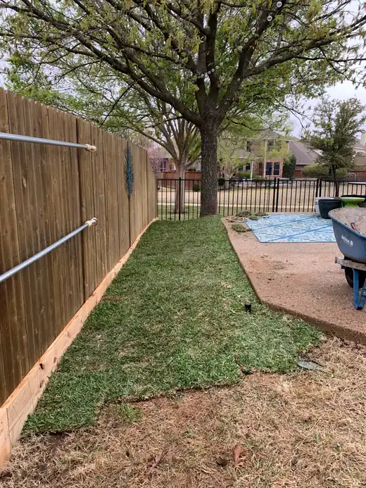 Fresh sod strip along a wood fence under a mature oak
