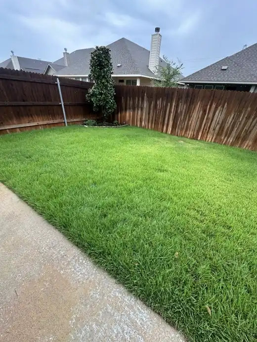 Fresh green sod filling a yard beside a fence and walkway